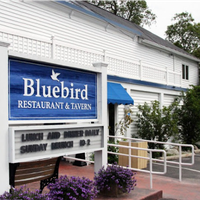 Bluebird of Leland Inc.